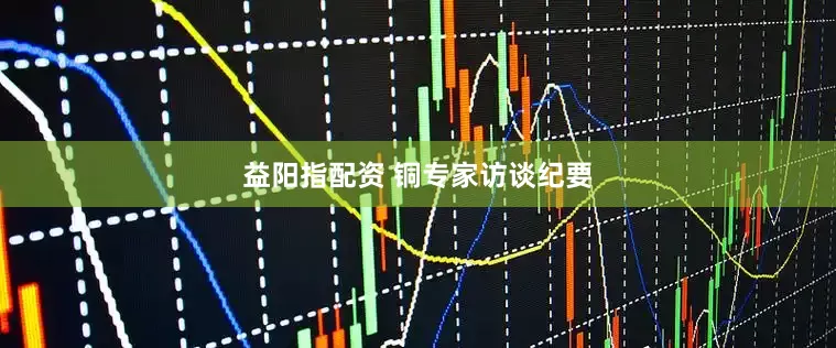 益阳指配资 铜专家访谈纪要