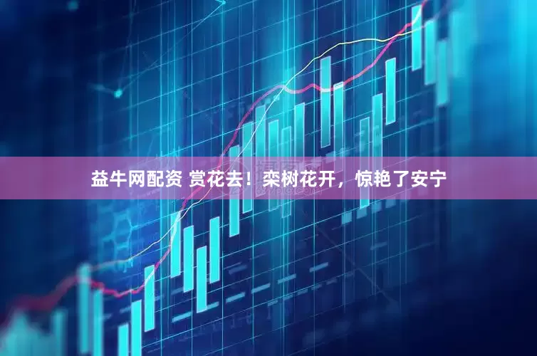 益牛网配资 赏花去！栾树花开，惊艳了安宁