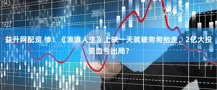 益升网配资 惨！《浪浪人生》上映一天就被匆匆抬走，2亿大投资血亏出局？